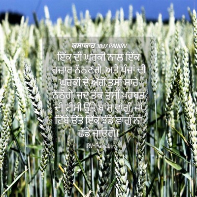 Picture 04 - ਯਸਾਯਾਹ 30:17 PANIRV - ਇੱਕ ਦੀ ਘੁਰਕੀ ਨਾਲ - Bible Verse Picture