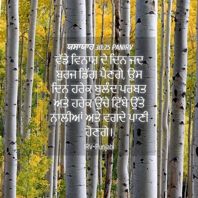 Picture 04 - ਯਸਾਯਾਹ 30:25 PANIRV - ਵੱਡੇ ਵਿਨਾਸ਼ ਦੇ ਦਿਨ - Bible Verse Picture