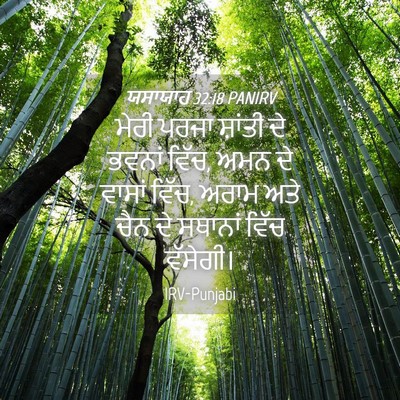 Picture 04 - ਯਸਾਯਾਹ 32:18 PANIRV - ਮੇਰੀ ਪਰਜਾ ਸ਼ਾਂਤੀ - Bible Verse Picture