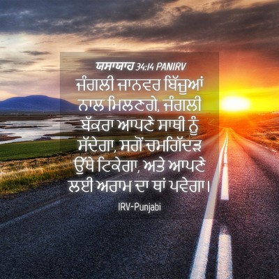Picture 04 - ਯਸਾਯਾਹ 34:14 PANIRV - ਜੰਗਲੀ ਜਾਨਵਰ - Bible Verse Picture