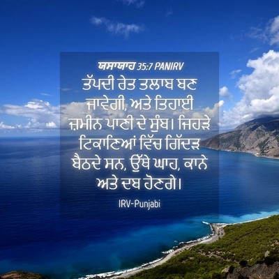 Picture 04 - ਯਸਾਯਾਹ 35:7 PANIRV - ਤੱਪਦੀ ਰੇਤ ਤਲਾਬ ਬਣ - Bible Verse Picture