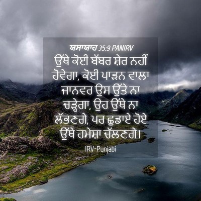 Picture 04 - ਯਸਾਯਾਹ 35:9 PANIRV - ਉੱਥੇ ਕੋਈ ਬੱਬਰ ਸ਼ੇਰ - Bible Verse Picture