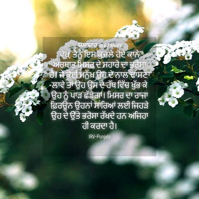 Picture 04 - ਯਸਾਯਾਹ 36:6 PANIRV - ਵੇਖ, ਤੈਨੂੰ ਇਸ ਕੁਚਲੇ - Bible Verse Picture