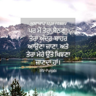Picture 04 - ਯਸਾਯਾਹ 37:28 PANIRV - ਪਰ ਮੈਂ ਤੇਰਾ ਬੈਠਣਾ, - Bible Verse Picture