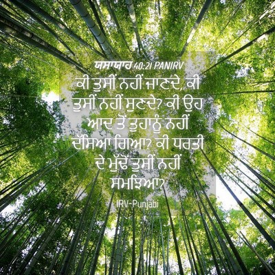 Picture 04 - ਯਸਾਯਾਹ 40:21 PANIRV - ਕੀ ਤੁਸੀਂ ਨਹੀਂ - Bible Verse Picture