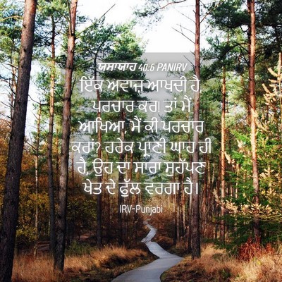 Picture 04 - ਯਸਾਯਾਹ 40:6 PANIRV - ਇੱਕ ਅਵਾਜ਼ ਆਖਦੀ ਹੈ, - Bible Verse Picture
