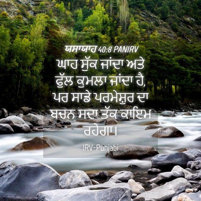 Picture 04 - ਯਸਾਯਾਹ 40:8 PANIRV - ਘਾਹ ਸੁੱਕ ਜਾਂਦਾ ਅਤੇ - Bible Verse Picture