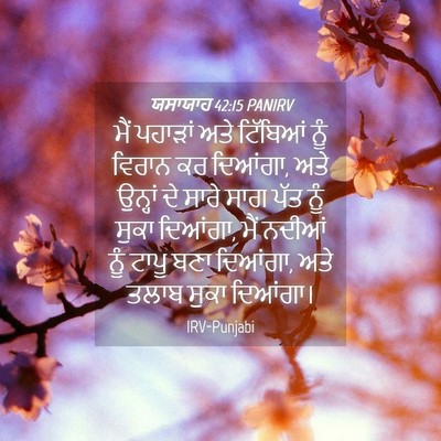Picture 04 - ਯਸਾਯਾਹ 42:15 PANIRV - ਮੈਂ ਪਹਾੜਾਂ ਅਤੇ - Bible Verse Picture
