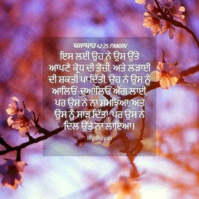 Picture 04 - ਯਸਾਯਾਹ 42:25 PANIRV - ਇਸ ਲਈ ਉਹ ਨੇ ਉਸ ਉੱਤੇ - Bible Verse Picture