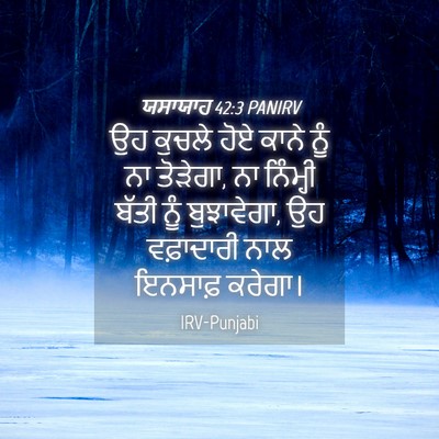 Picture 04 - ਯਸਾਯਾਹ 42:3 PANIRV - ਉਹ ਕੁਚਲੇ ਹੋਏ ਕਾਨੇ - Bible Verse Picture