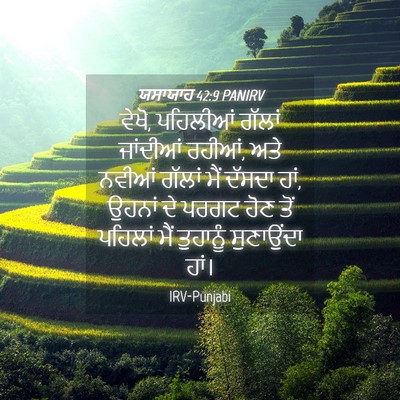 Picture 04 - ਯਸਾਯਾਹ 42:9 PANIRV - ਵੇਖੋ, ਪਹਿਲੀਆਂ - Bible Verse Picture