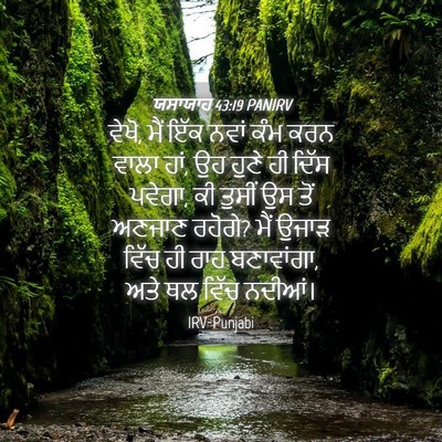 Picture 04 - ਯਸਾਯਾਹ 43:19 PANIRV - ਵੇਖੋ, ਮੈਂ ਇੱਕ ਨਵਾਂ - Bible Verse Picture