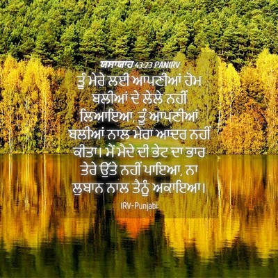 Picture 04 - ਯਸਾਯਾਹ 43:23 PANIRV - ਤੂੰ ਮੇਰੇ ਲਈ ਆਪਣੀਆਂ - Bible Verse Picture