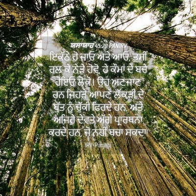 Picture 04 - ਯਸਾਯਾਹ 45:20 PANIRV - ਇਕੱਠੇ ਹੋ ਜਾਓ ਅਤੇ - Bible Verse Picture