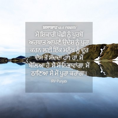 Picture 04 - ਯਸਾਯਾਹ 46:11 PANIRV - ਮੈਂ ਸ਼ਿਕਾਰੀ ਪੰਛੀ - Bible Verse Picture