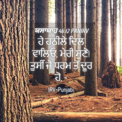 Picture 04 - ਯਸਾਯਾਹ 46:12 PANIRV - ਹੇ ਹਠੀਲੇ ਦਿਲ ਵਾਲਿਓ, - Bible Verse Picture