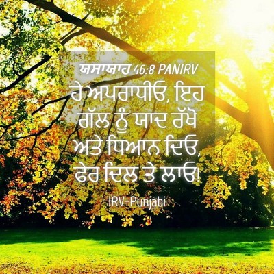 Picture 04 - ਯਸਾਯਾਹ 46:8 PANIRV - ਹੇ ਅਪਰਾਧੀਓ, ਇਹ ਗੱਲ - Bible Verse Picture