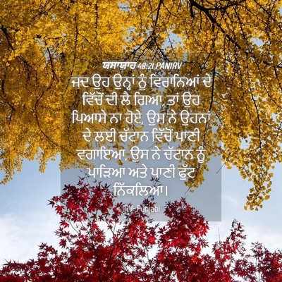 Picture 04 - ਯਸਾਯਾਹ 48:21 PANIRV - ਜਦ ਉਹ ਉਨ੍ਹਾਂ ਨੂੰ - Bible Verse Picture