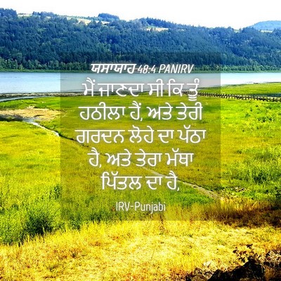 Picture 04 - ਯਸਾਯਾਹ 48:4 PANIRV - ਮੈਂ ਜਾਣਦਾ ਸੀ ਕਿ ਤੂੰ - Bible Verse Picture