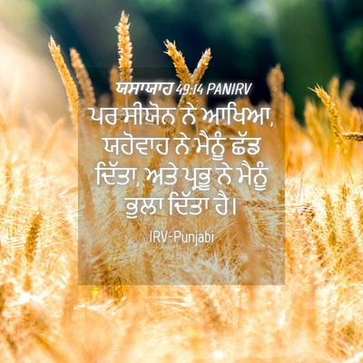 Picture 04 - ਯਸਾਯਾਹ 49:14 PANIRV - ਪਰ ਸੀਯੋਨ ਨੇ ਆਖਿਆ, - Bible Verse Picture