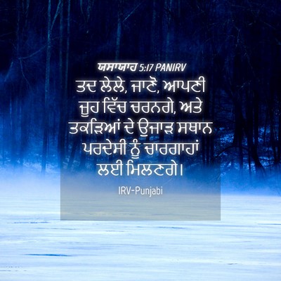 Picture 04 - ਯਸਾਯਾਹ 5:17 PANIRV - ਤਦ ਲੇਲੇ, ਜਾਣੋ, ਆਪਣੀ - Bible Verse Picture