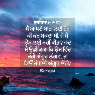 Picture 04 - ਯਸਾਯਾਹ 5:4 PANIRV - ਮੈਂ ਆਪਣੇ ਬਾਗ਼ ਲਈ - Bible Verse Picture
