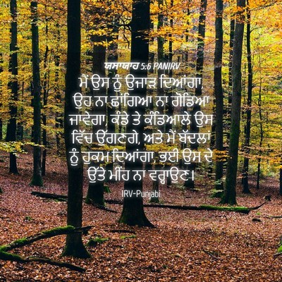 Picture 04 - ਯਸਾਯਾਹ 5:6 PANIRV - ਮੈਂ ਉਸ ਨੂੰ ਉਜਾੜ - Bible Verse Picture