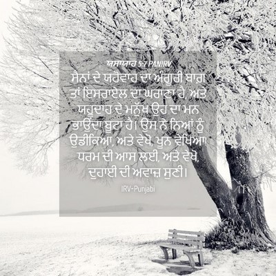 Picture 04 - ਯਸਾਯਾਹ 5:7 PANIRV - ਸੈਨਾਂ ਦੇ ਯਹੋਵਾਹ ਦਾ - Bible Verse Picture