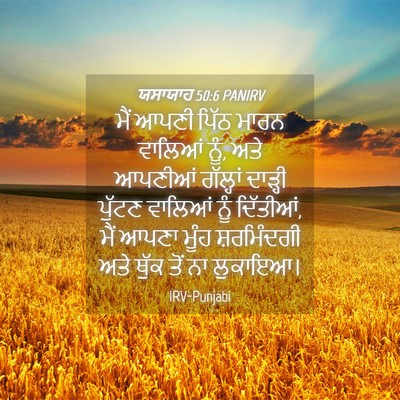 Picture 04 - ਯਸਾਯਾਹ 50:6 PANIRV - ਮੈਂ ਆਪਣੀ ਪਿੱਠ ਮਾਰਨ - Bible Verse Picture