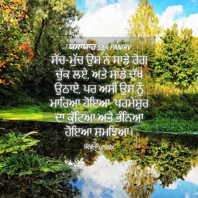 Picture 04 - ਯਸਾਯਾਹ 53:4 PANIRV - ਸੱਚ-ਮੁੱਚ ਉਸ ਨੇ ਸਾਡੇ - Bible Verse Picture