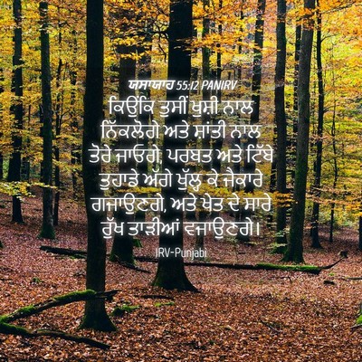Picture 04 - ਯਸਾਯਾਹ 55:12 PANIRV - ਕਿਉਂਕਿ ਤੁਸੀਂ - Bible Verse Picture