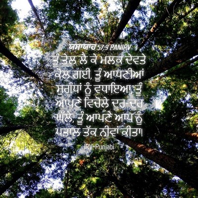 Picture 04 - ਯਸਾਯਾਹ 57:9 PANIRV - ਤੂੰ ਤੇਲ ਲੈ ਕੇ ਮਲਕ - Bible Verse Picture