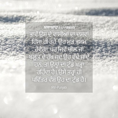 Picture 04 - ਯਸਾਯਾਹ 6:13 PANIRV - ਭਾਵੇਂ ਉਸ ਦੇ ਵਾਸੀਆਂ - Bible Verse Picture