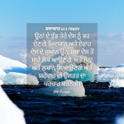 Picture 04 - ਯਸਾਯਾਹ 60:6 PANIRV - ਊਠਾਂ ਦੇ ਝੁੰਡ ਤੇਰੇ - Bible Verse Picture