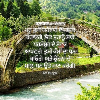 Picture 04 - ਯਸਾਯਾਹ 61:6 PANIRV - ਪਰ ਤੁਸੀਂ ਯਹੋਵਾਹ ਦੇ - Bible Verse Picture