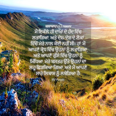 Picture 04 - ਯਸਾਯਾਹ 63:3 PANIRV - ਮੈਂ ਇਕੱਲੇ ਹੀ ਦਾਖਾਂ - Bible Verse Picture