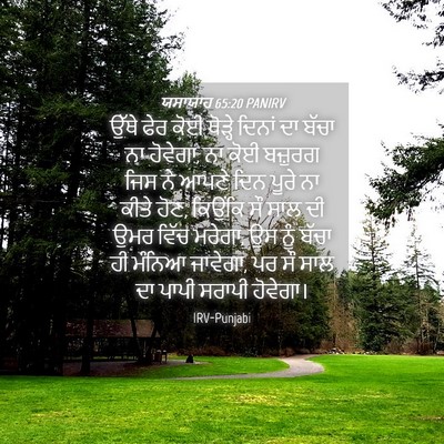 Picture 04 - ਯਸਾਯਾਹ 65:20 PANIRV - ਉੱਥੇ ਫੇਰ ਕੋਈ - Bible Verse Picture