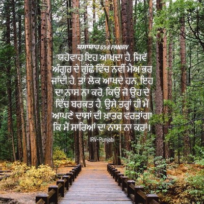 Picture 04 - ਯਸਾਯਾਹ 65:8 PANIRV - ਯਹੋਵਾਹ ਇਹ ਆਖਦਾ ਹੈ, - Bible Verse Picture