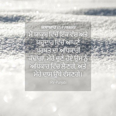 Picture 04 - ਯਸਾਯਾਹ 65:9 PANIRV - ਮੈਂ ਯਾਕੂਬ ਵਿੱਚੋਂ - Bible Verse Picture