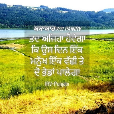 Picture 04 - ਯਸਾਯਾਹ 7:21 PANIRV - ਤਦ ਅਜਿਹਾ ਹੋਵੇਗਾ ਕਿ - Bible Verse Picture