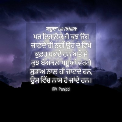 Picture 04 - ਯਹੂਦਾ 1:10 PANIRV - ਪਰ ਇਹ ਲੋਕ ਜੋ ਕੁਝ ਉਹ - Bible Verse Picture