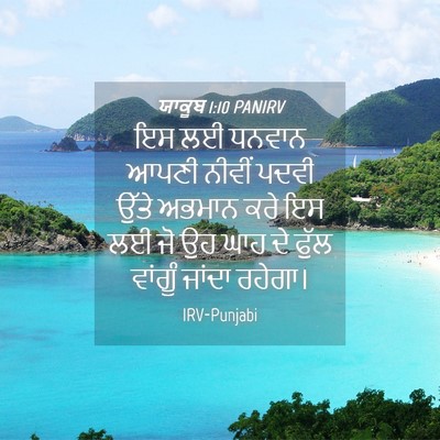 Picture 04 - ਯਾਕੂਬ 1:10 PANIRV - ਇਸ ਲਈ ਧਨਵਾਨ ਆਪਣੀ - Bible Verse Picture