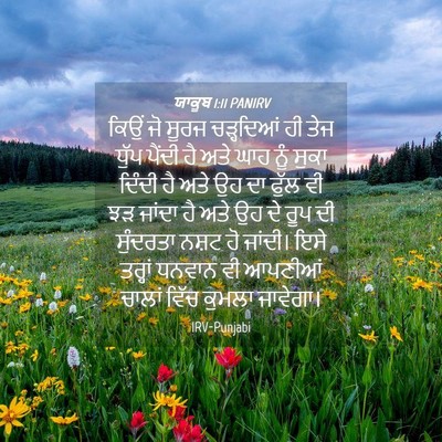 Picture 04 - ਯਾਕੂਬ 1:11 PANIRV - ਕਿਉਂ ਜੋ ਸੂਰਜ - Bible Verse Picture