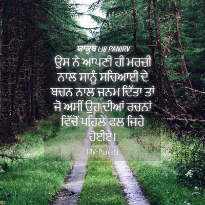 Picture 04 - ਯਾਕੂਬ 1:18 PANIRV - ਉਸ ਨੇ ਆਪਣੀ ਹੀ ਮਰਜ਼ੀ - Bible Verse Picture