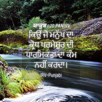 Picture 04 - ਯਾਕੂਬ 1:20 PANIRV - ਕਿਉਂ ਜੋ ਮਨੁੱਖ ਦਾ - Bible Verse Picture