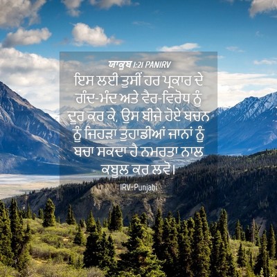 Picture 04 - ਯਾਕੂਬ 1:21 PANIRV - ਇਸ ਲਈ ਤੁਸੀਂ ਹਰ - Bible Verse Picture
