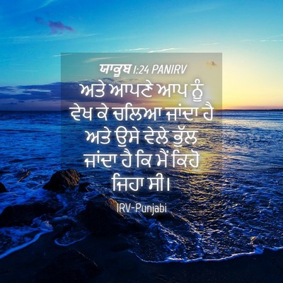 Picture 04 - ਯਾਕੂਬ 1:24 PANIRV - ਅਤੇ ਆਪਣੇ ਆਪ ਨੂੰ ਵੇਖ - Bible Verse Picture