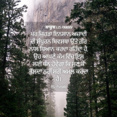 Picture 04 - ਯਾਕੂਬ 1:25 PANIRV - ਪਰ ਜਿਹੜਾ ਇਨਸਾਨ - Bible Verse Picture