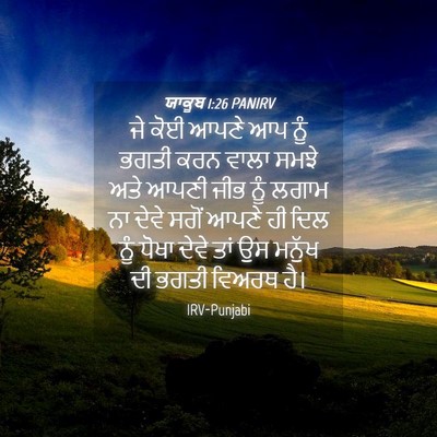 Picture 04 - ਯਾਕੂਬ 1:26 PANIRV - ਜੇ ਕੋਈ ਆਪਣੇ ਆਪ ਨੂੰ - Bible Verse Picture
