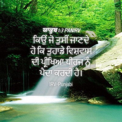 Picture 04 - ਯਾਕੂਬ 1:3 PANIRV - ਕਿਉਂ ਜੋ ਤੁਸੀਂ - Bible Verse Picture